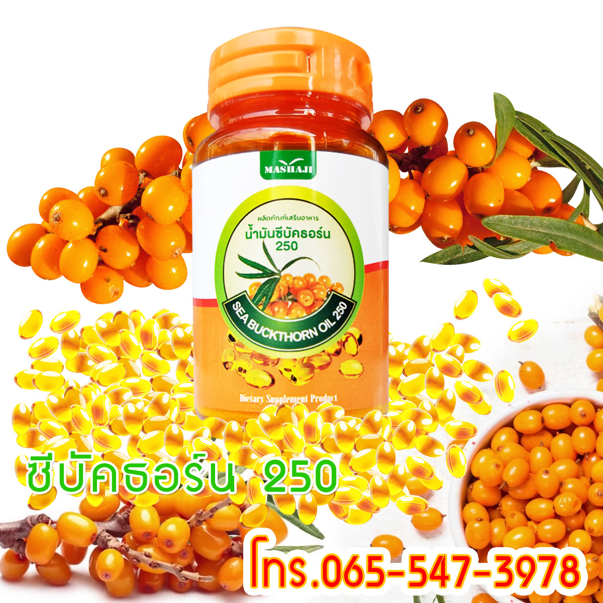 ซีบ้คธอร์น