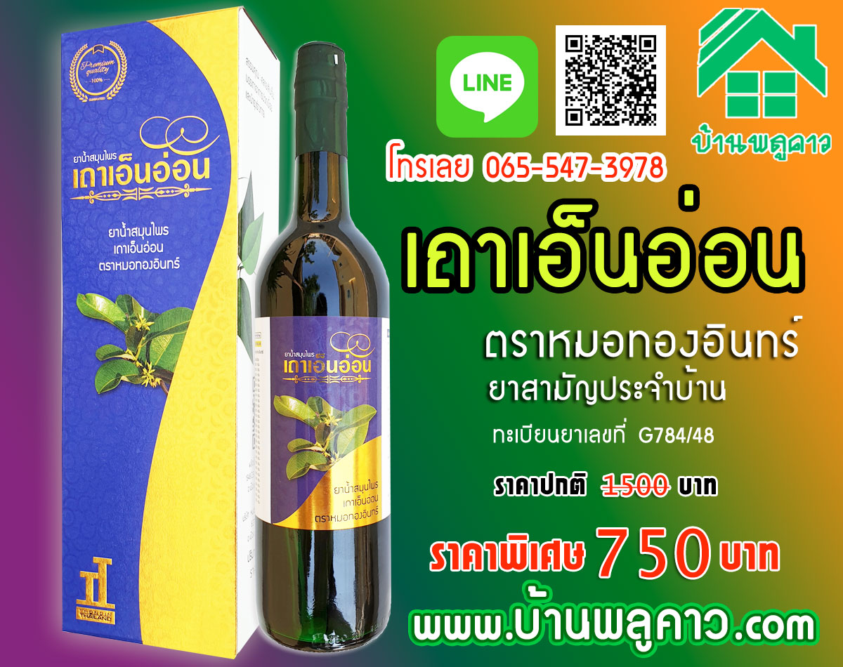 เถาเอ็นอ่อน