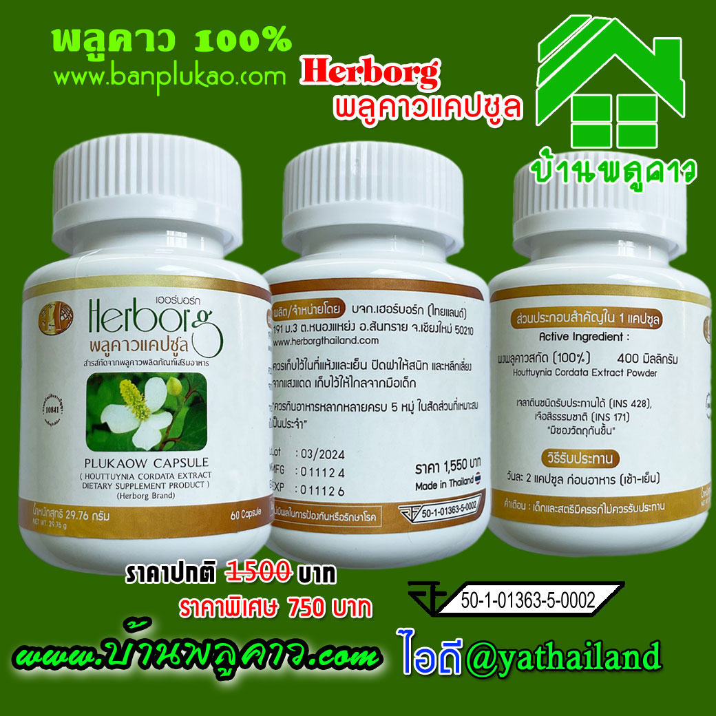 เฮอร์บอร์ก