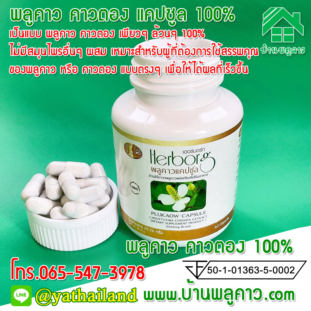 พลูคาวแคปซูล เฮอร์บอร์ก